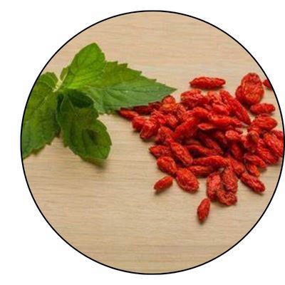 Berberine